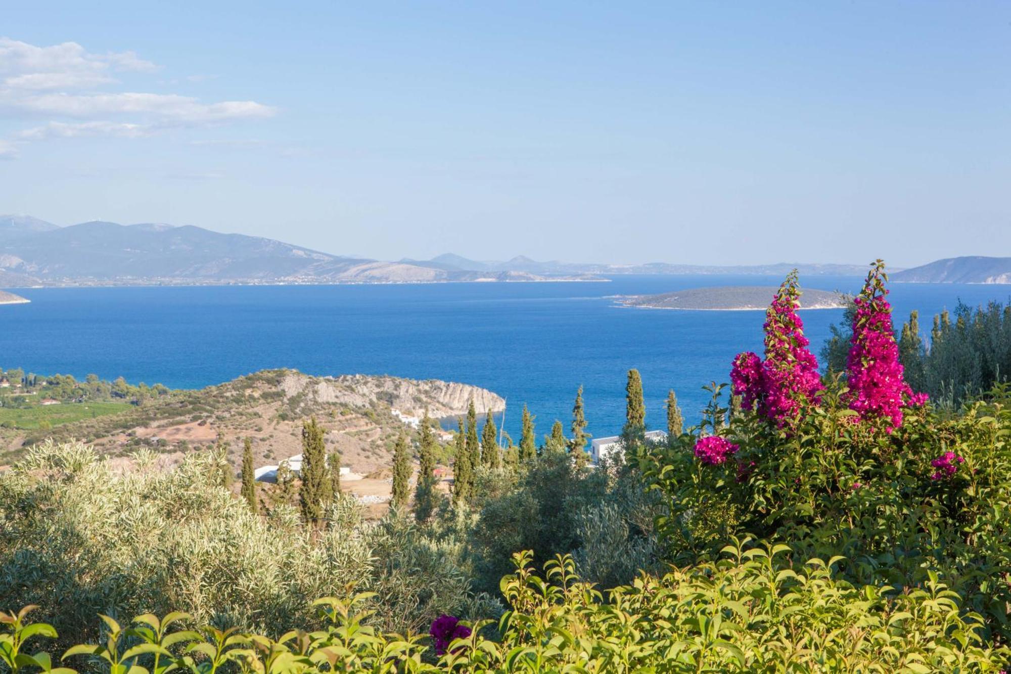 Villa Artemis Nafplion Tolón Exterior foto